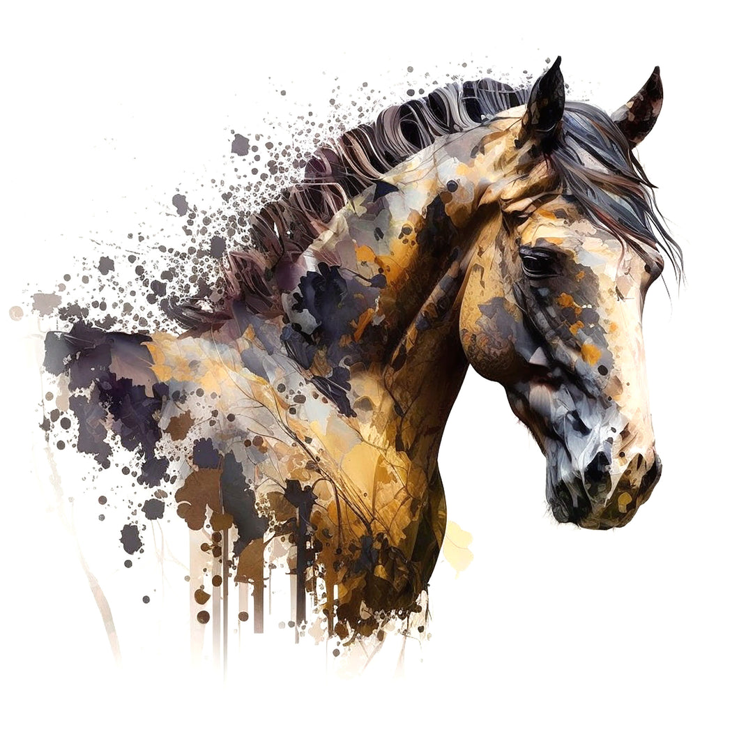 Horse study 2