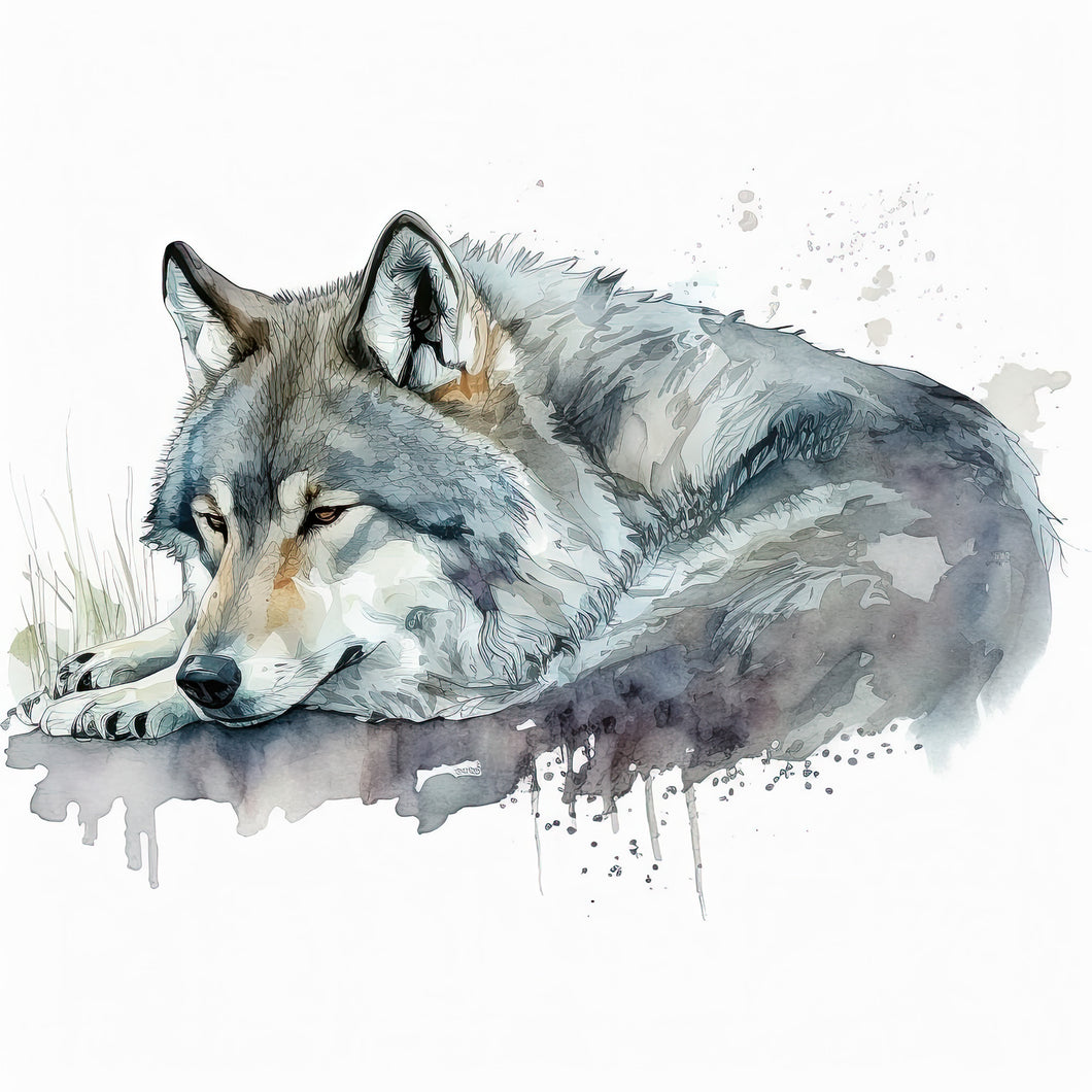 Resting Wolf